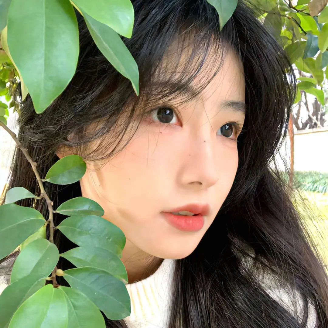 拳风恋影